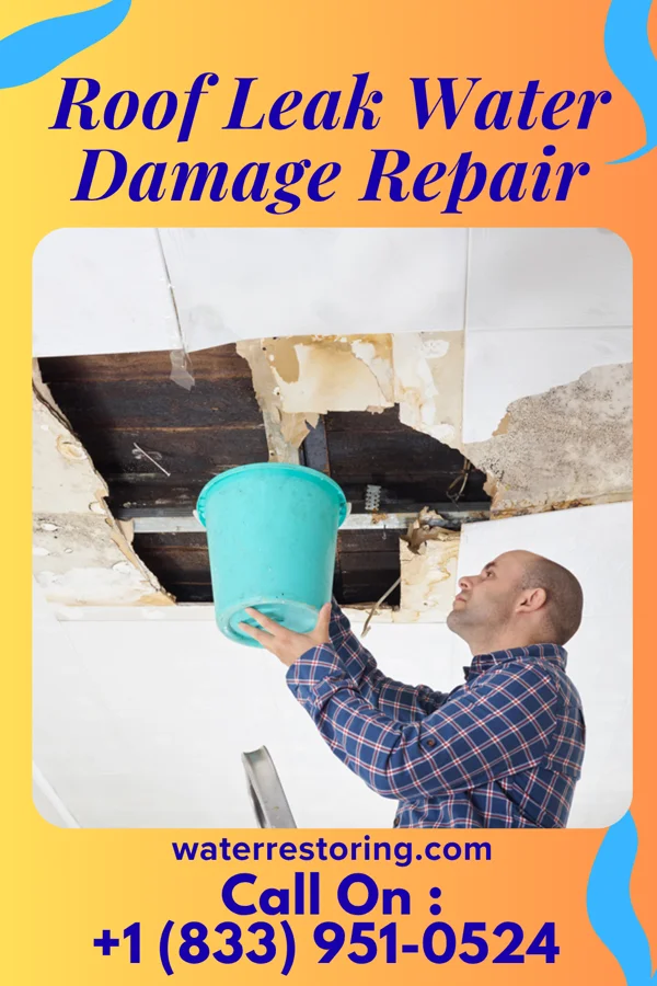 Roof Leak Water Damage Repair in Omak, WA